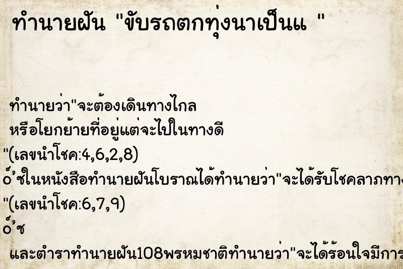 ทำนายฝัน ขับรถตกทุ่งนาเป็นแ  ตำราโบราณ แม่นที่สุดในโลก